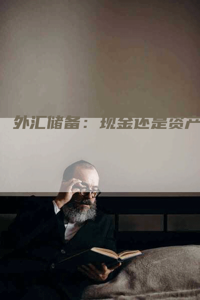 外汇储备：现金还是资产？