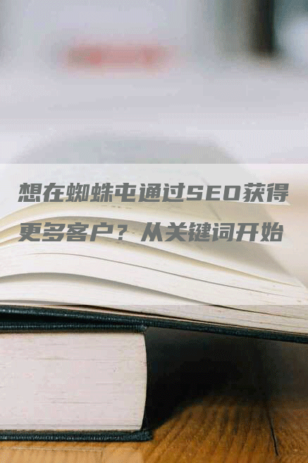 想在蜘蛛屯通过SEO获得更多客户？从关键词开始