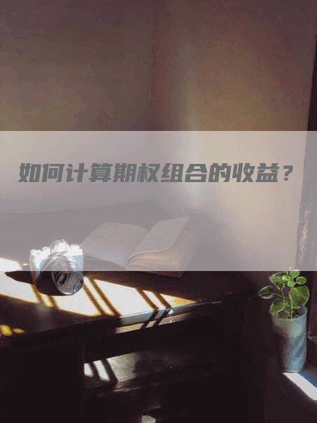 如何计算期权组合的收益？