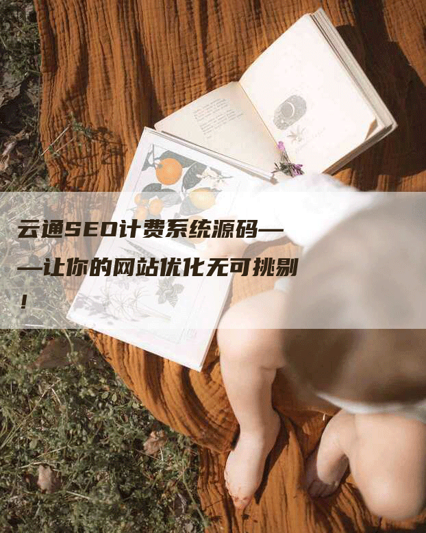 云通SEO计费系统源码——让你的网站优化无可挑剔！