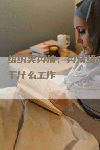 组织类舆情，舆情组成员是干什么工作