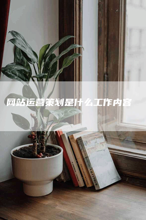 网站运营策划是什么工作内容