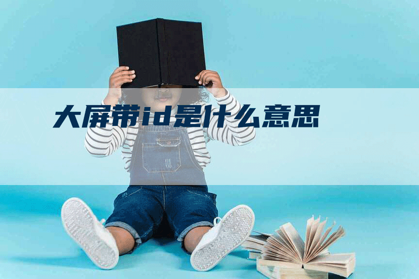 大屏带id是什么意思