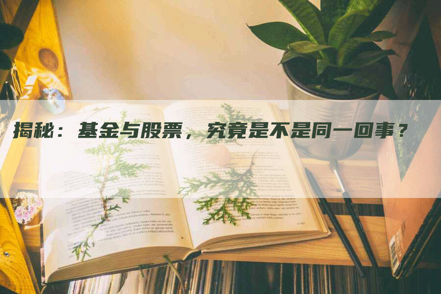 揭秘：基金与股票，究竟是不是同一回事？