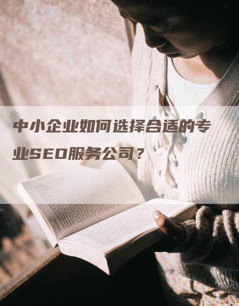 中小企业如何选择合适的专业SEO服务公司？