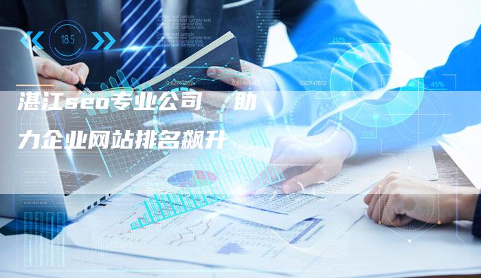 湛江seo专业公司  助力企业网站排名飙升