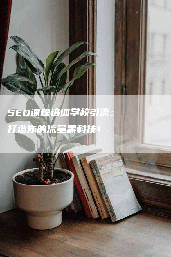 SEO课程培训学校引流：打造你的流量黑科技！