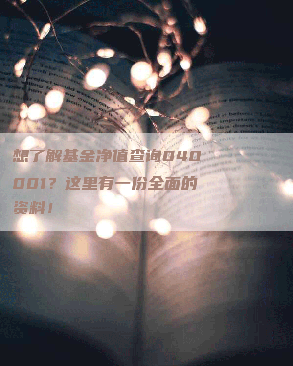 想了解基金净值查询040001？这里有一份全面的资料！