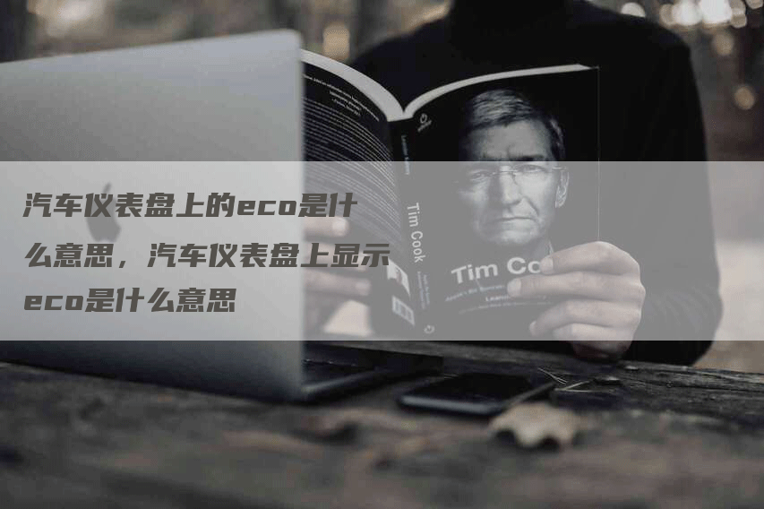 汽车仪表盘上的eco是什么意思，汽车仪表盘上显示eco是什么意思