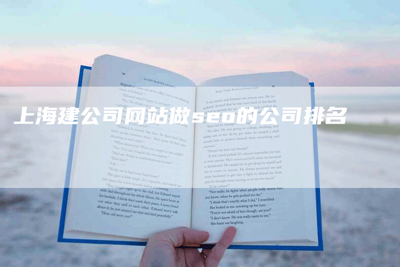 上海建公司网站做seo的公司排名