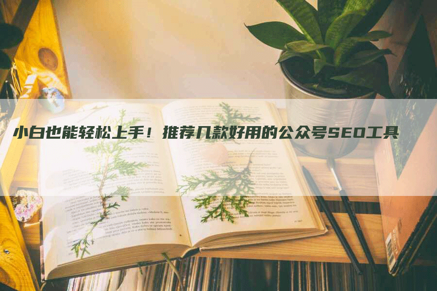 小白也能轻松上手！推荐几款好用的公众号SEO工具