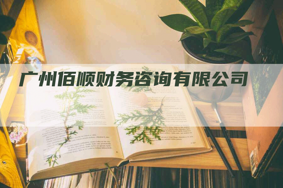 广州佰顺财务咨询有限公司