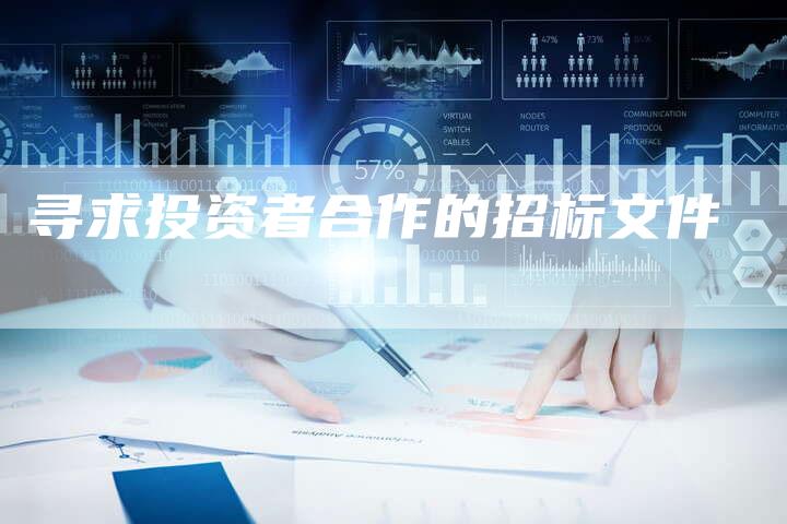 寻求投资者合作的招标文件