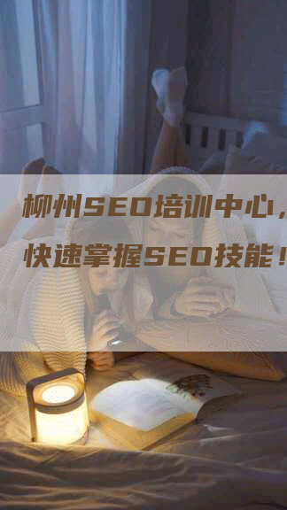 柳州SEO培训中心，让你快速掌握SEO技能！