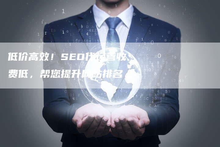 低价高效！SEO代运营收费低，帮您提升网站排名