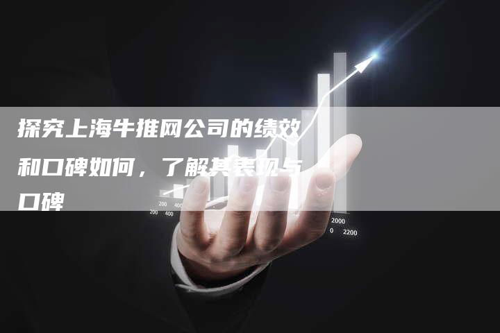 探究上海牛推网公司的绩效和口碑如何，了解其表现与口碑