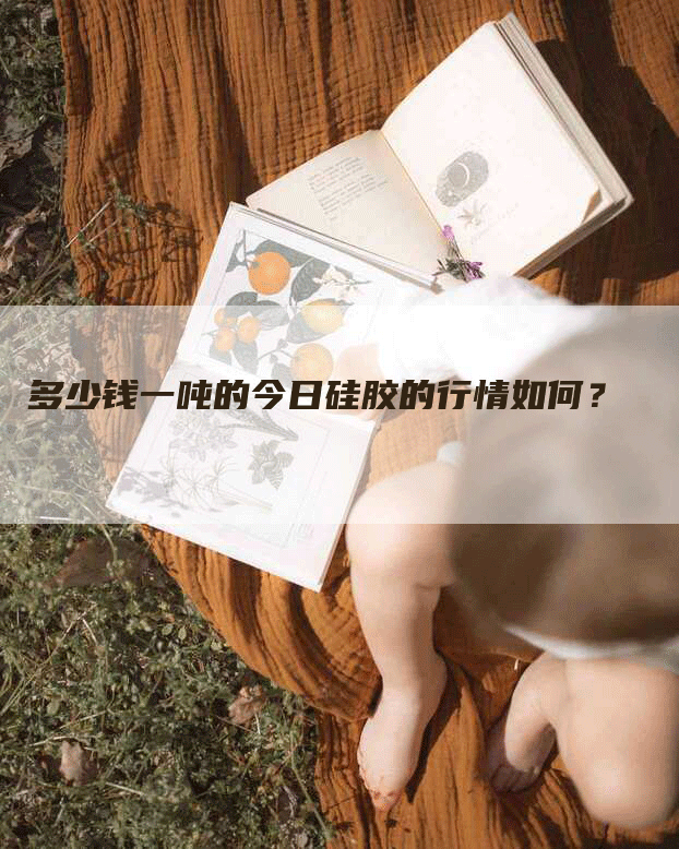 多少钱一吨的今日硅胶的行情如何？