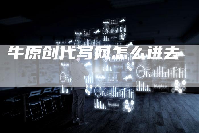 牛原创代写网怎么进去