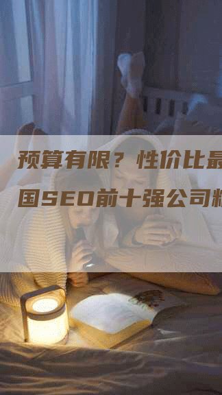 预算有限？性价比最高的中国SEO前十强公司精选