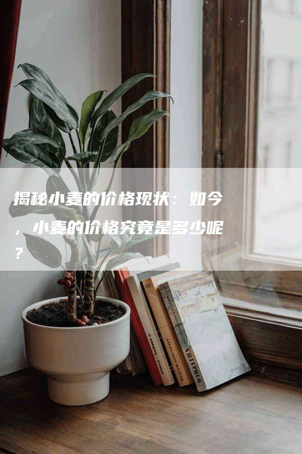 揭秘小麦的价格现状：如今，小麦的价格究竟是多少呢？