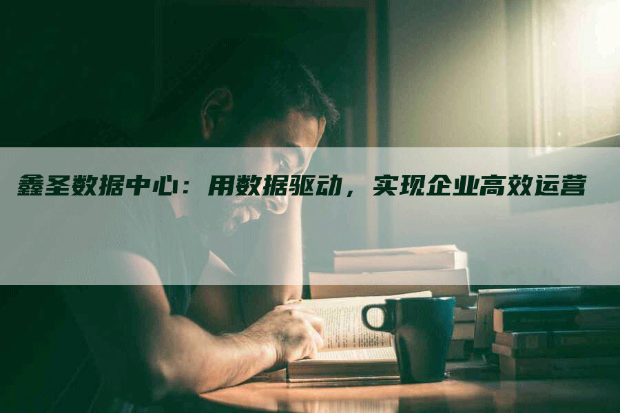 鑫圣数据中心：用数据驱动，实现企业高效运营