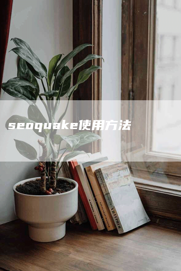 seoquake使用方法