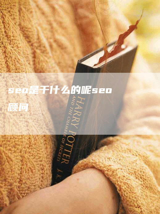 seo是干什么的呢seo顾问